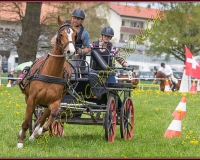 2POSIEUX 0307